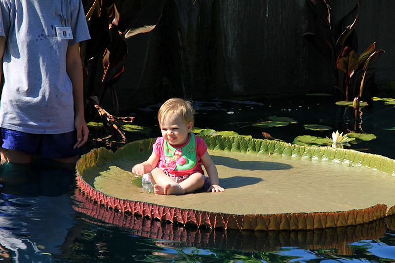 Allison 1 Year